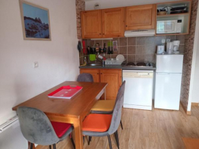 Appartement confortable, 300m des pistes et commerces, balcon sud, parking, animaux acceptés - FR-1-618-14